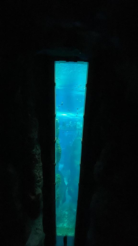 vertical tank housing fish and other sea creatures, surrounded by dim light, with a bright blue glow from within the tank. Rocks surround the tank. 